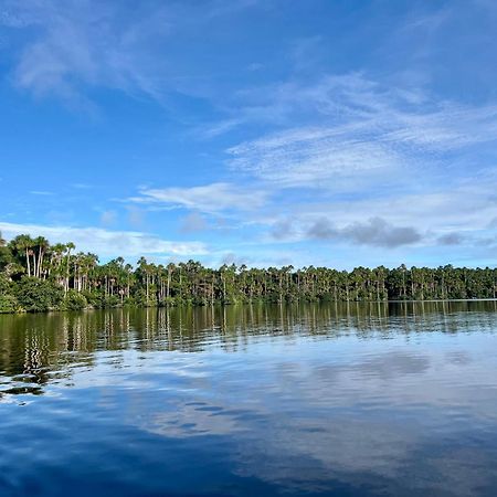 Tronco Tambopata Adventure Hotel Puerto Maldonado Bagian luar foto