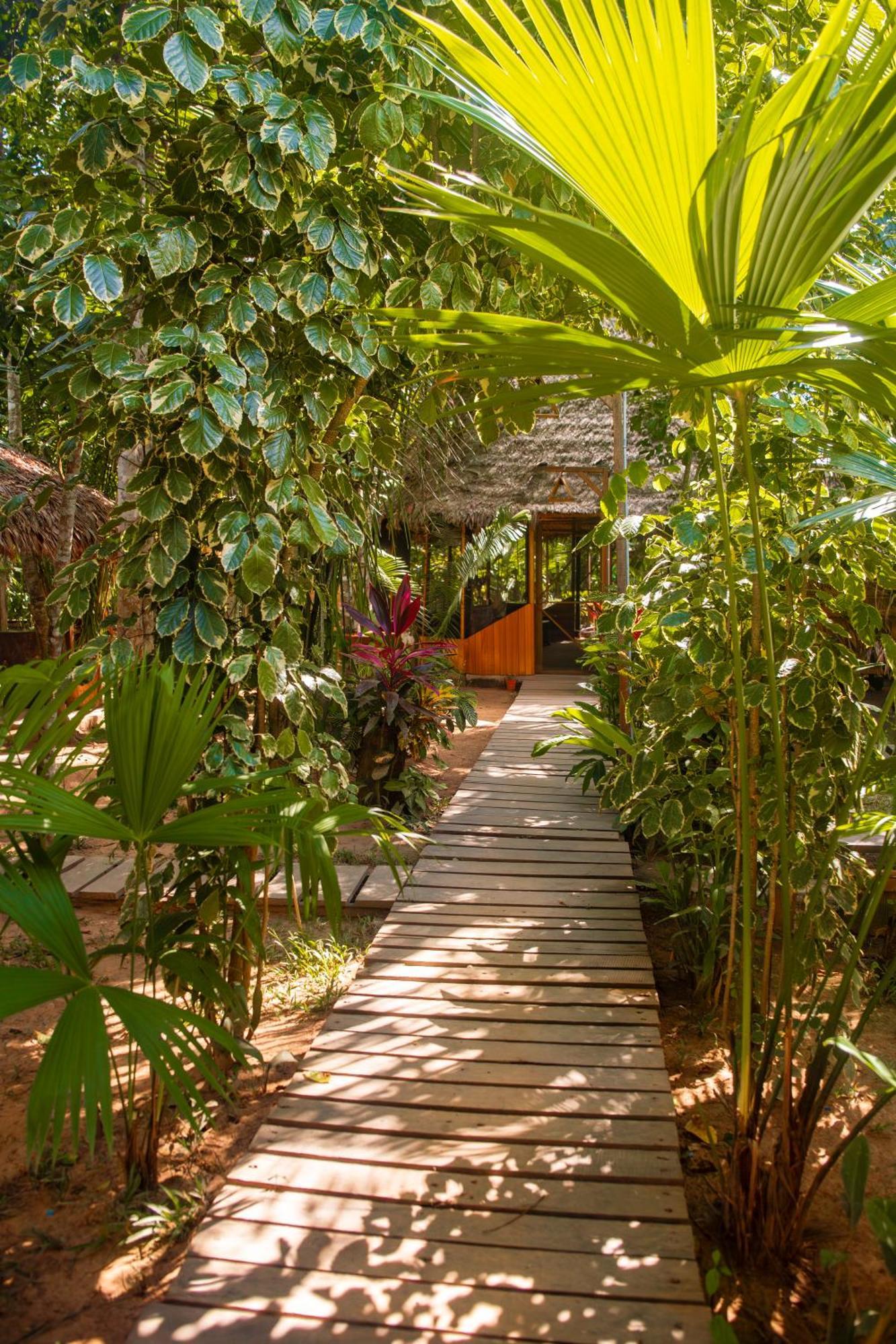 Tronco Tambopata Adventure Hotel Puerto Maldonado Bagian luar foto