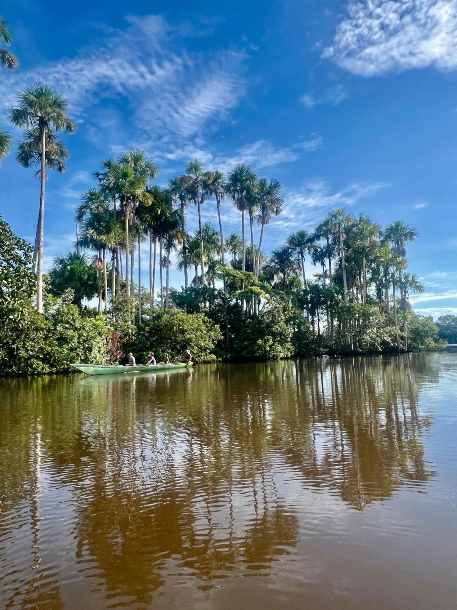 Tronco Tambopata Adventure Hotel Puerto Maldonado Bagian luar foto