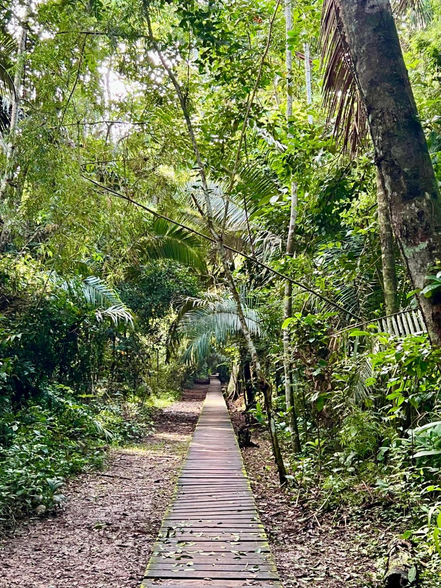 Tronco Tambopata Adventure Hotel Puerto Maldonado Bagian luar foto