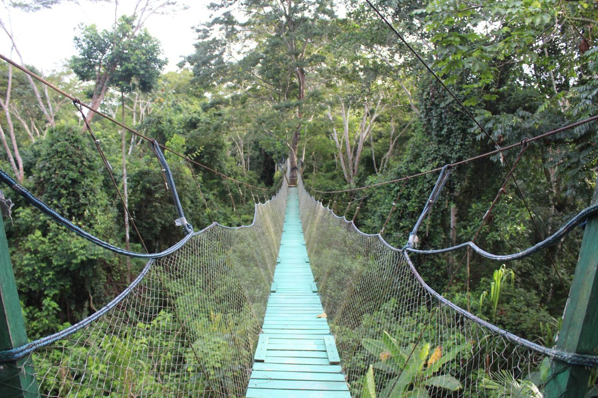 Tronco Tambopata Adventure Hotel Puerto Maldonado Bagian luar foto