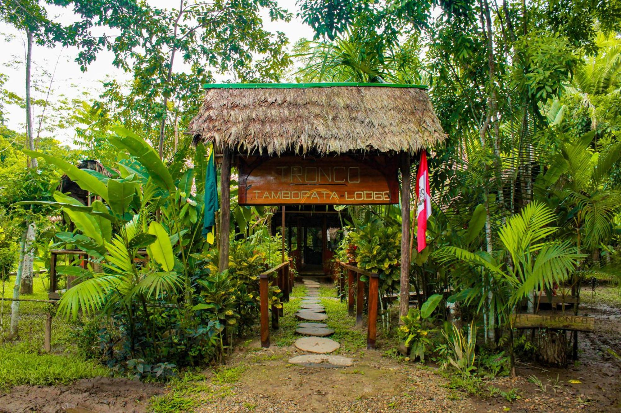 Tronco Tambopata Adventure Hotel Puerto Maldonado Bagian luar foto