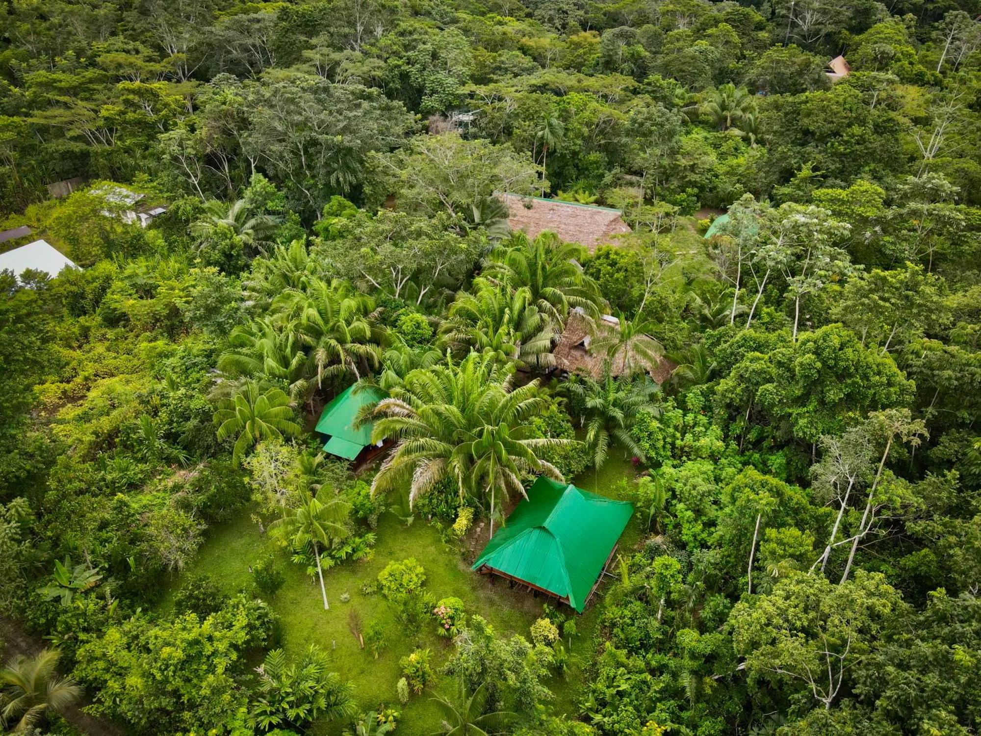 Tronco Tambopata Adventure Hotel Puerto Maldonado Bagian luar foto